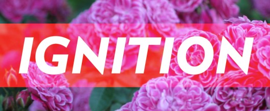 default image for post