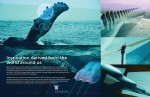 M Financial - Biomimicry Ad